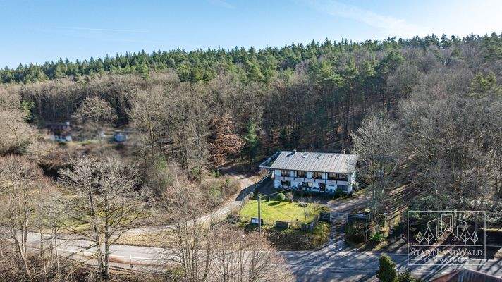 Super Lage am Waldrand