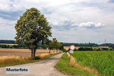 Keine Originalbilder