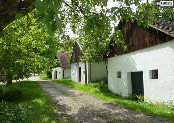 Bild 19