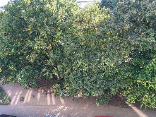 Ausblick vom Wohn-Essbereich