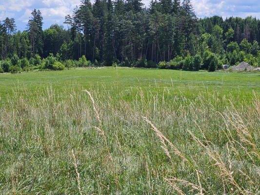 Ansicht Grundstück Süd.jpg