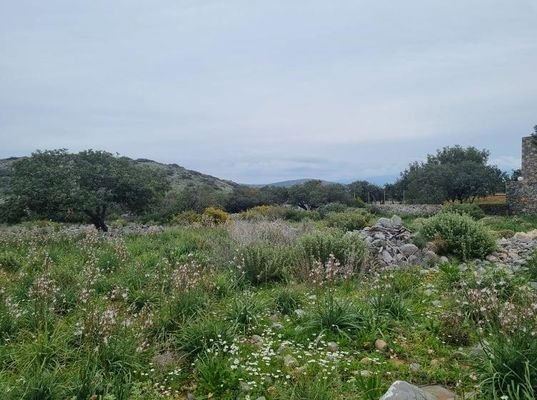 Kreta, Plaka Elounda: Baugrundstück mit Meerblick zu verkaufen