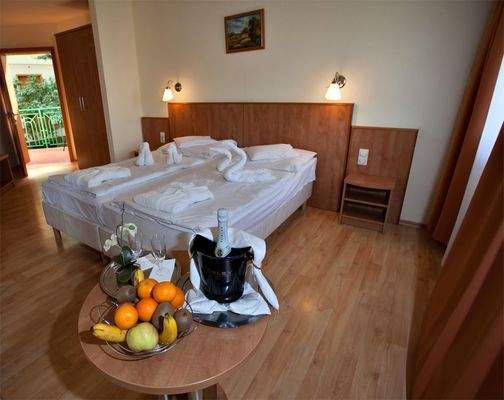 Kétágyas, klasszik szoba_Erkélyes,igényesen berend