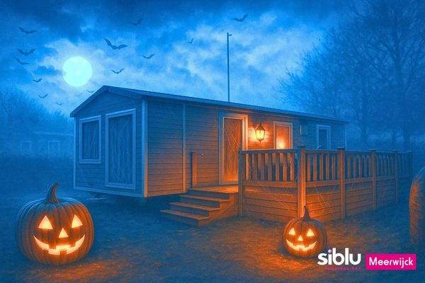 Ferienhaus Kaufen Friesland03