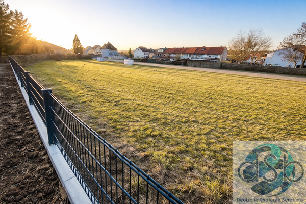 Weite Grasfläche im Abendlicht.png