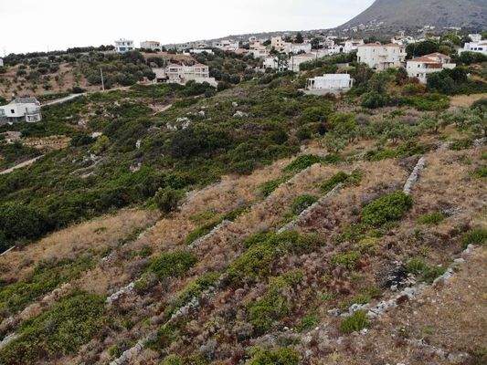 Kreta, Plaka: Außergewöhnliches Baugrundstück mit Meerblick im Apokoronas zu verkaufen