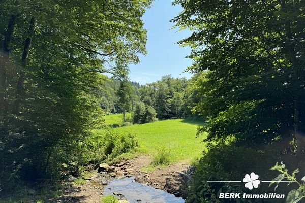 BERK Immobilien - Aue Waldwiese mit Bachlauf