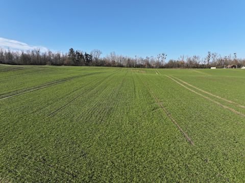 Möllenhagen Bauernhöfe, Landwirtschaft, Möllenhagen Forstwirtschaft