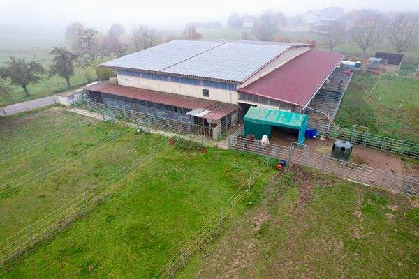 dji_fly_20251106_123914_402_1762430266266_photo.jp