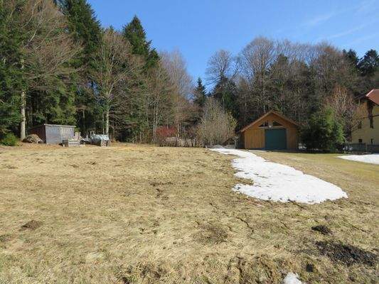 obere Wiese am Waldrand