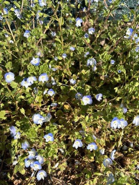 Neusäß Grundstücke, Neusäß Grundstück kaufen