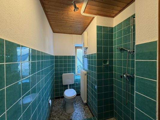 EG Gäste-Bad Bild 1