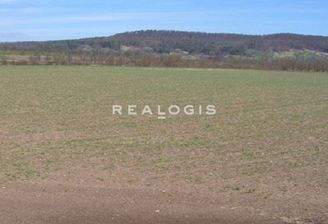 Beispielbild Grundstück