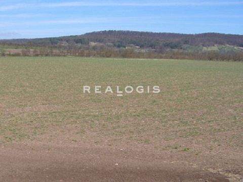 Wanzleben Grundstücke, Wanzleben Grundstück kaufen