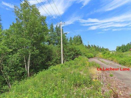 Cape Breton - Neu-Erschließung mit 7 Lots - 23 Hek