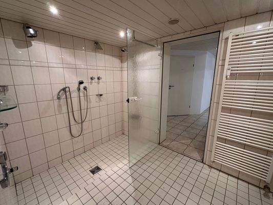 Keller/ Wellnessbereich 