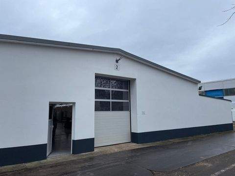 Pinneberg Halle, Pinneberg Hallenfläche