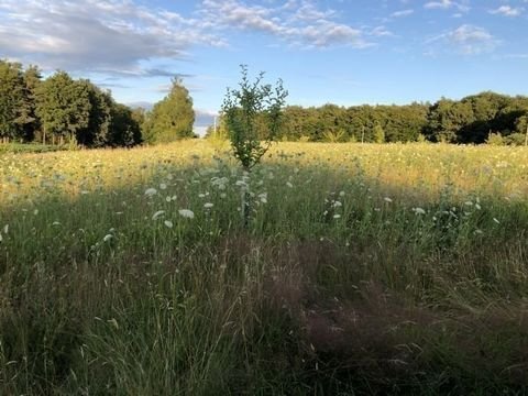 Moosburg Grundstücke, Moosburg Grundstück kaufen