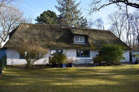 Bordelum Häuser, Bordelum Haus kaufen
