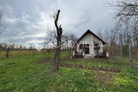 Budrovci Häuser, Budrovci Haus kaufen