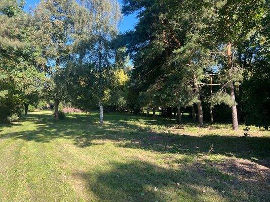 Groß (IMG_7662).jpeg