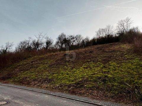 Welschbillig Grundstücke, Welschbillig Grundstück kaufen