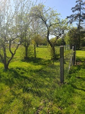 Obstgarten