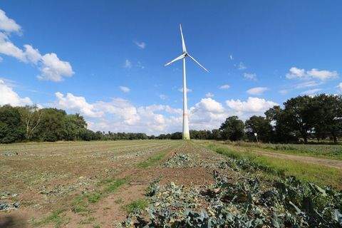 Goldenstedt Bauernhöfe, Landwirtschaft, Goldenstedt Forstwirtschaft