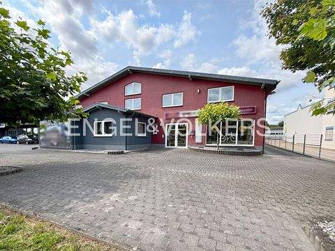 Polch Halle, Polch Hallenfläche