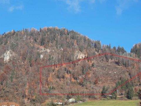 Brückl Bauernhöfe, Landwirtschaft, Brückl Forstwirtschaft