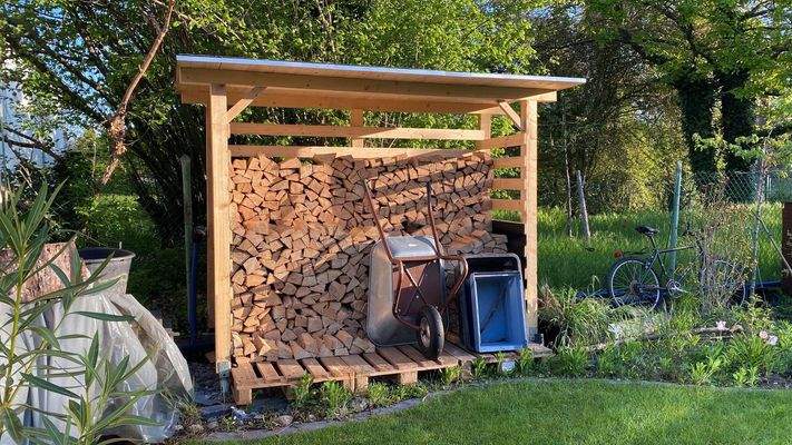 Impressionen Garten (1)