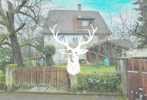 Waldshut-Tiengen Häuser, Waldshut-Tiengen Haus kaufen
