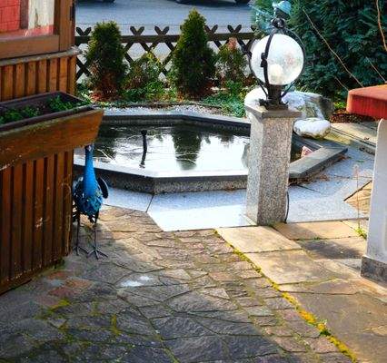 kleiner Zierteich.JPG