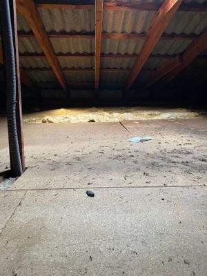 GS_VB_Allendorf_IMAXX_Giessen518 2