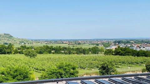 Krems an der Donau Wohnungen, Krems an der Donau Wohnung mieten