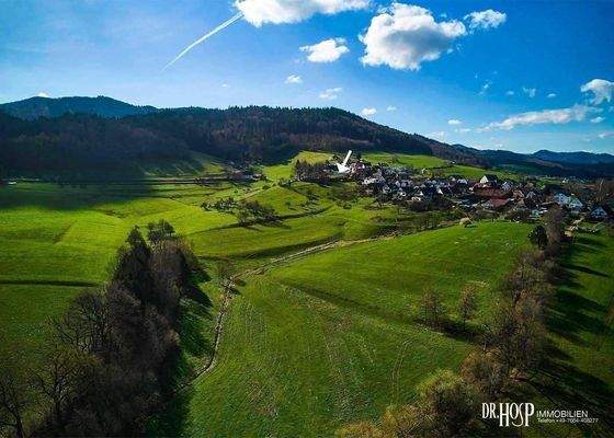 Grundstück aus Osten.jpg