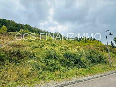 Langsur / Metzdorf Grundstücke, Langsur / Metzdorf Grundstück kaufen