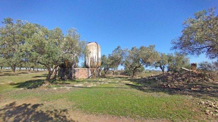 2602 andalusien, huelva, villarossa, finca, gästeapartment, pool, stall, verkauf