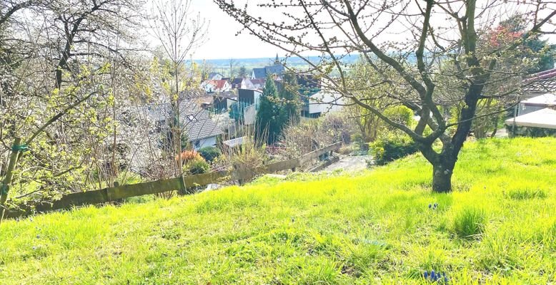 Park-Lage mit Weitblick