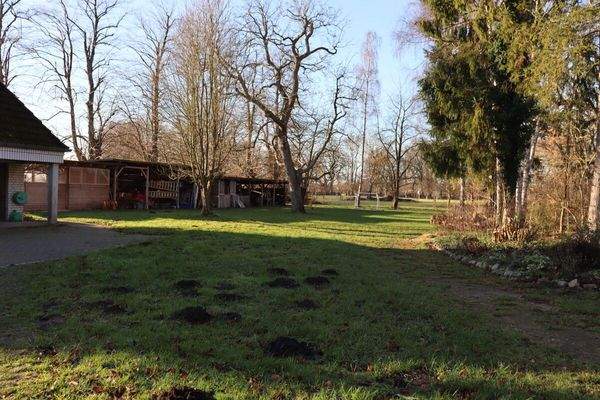 Gemeinschaftsfläche I