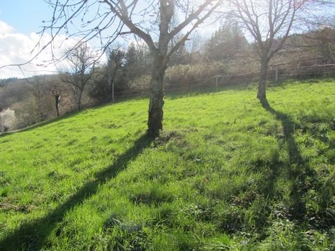 Eberbach / Friedrichsdorf Grundstücke, Eberbach / Friedrichsdorf Grundstück kaufen