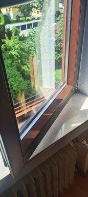 neue Fenster 2021.jpg