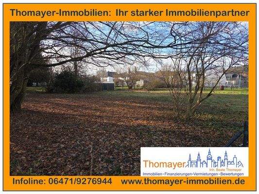 Titelbild Expose.jpg