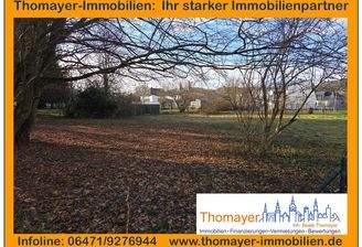 Titelbild Expose.jpg