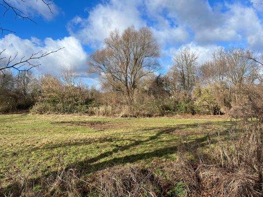 Ausblick in Richtung Teltowkanal