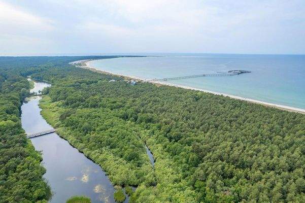 Darßwald/Inselhafen/Strand