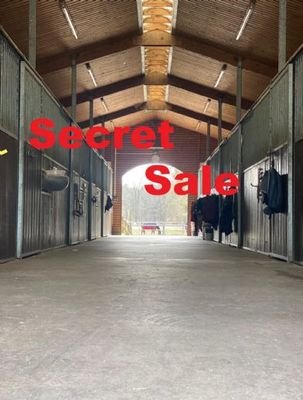 Secret Sale Reitgestüt