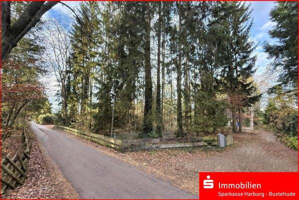 Blick von der Straße