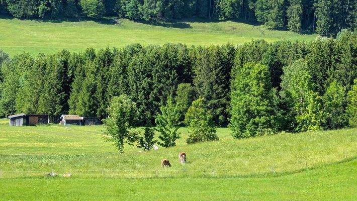 Blick aus dem Garten nach Osten