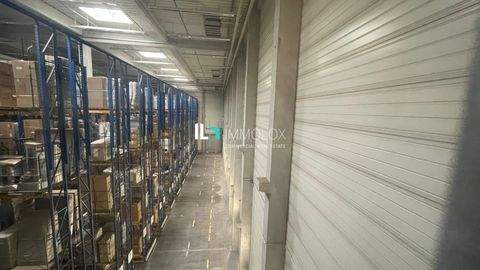 Bingen Halle, Bingen Hallenfläche